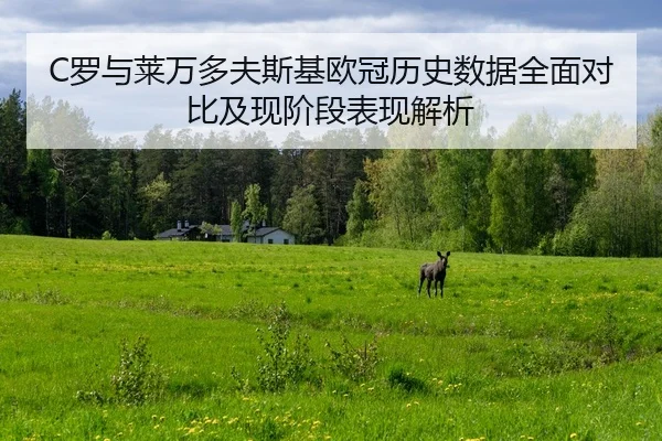 C罗与莱万多夫斯基欧冠历史数据全面对比及现阶段表现解析